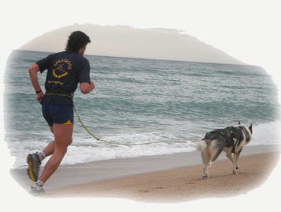 Perro y guia corriendo en la orilla del mar