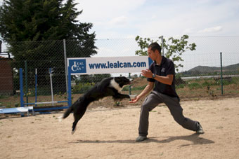 Perro y su guia realizando la habilidad canina 'sube', el perro salta entre los brazos en circulo de su guia