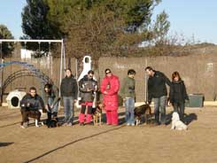 Perros y guias del grupo de habilidades caninas de leacan, posando al aire libre, en el centro canino