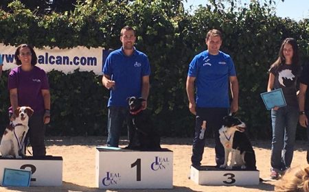Podium de la prueba de obediencia LealCan de 2016. Se ve a los 3 jueces, y a los 3 perros ganadores junto a sus guías.