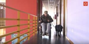 Hombre en silla de ruedas junto a un perro de asistencia
