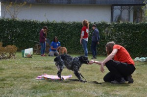 Seminario preparación física del perro en LealCan