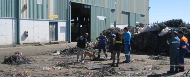 grupo de personas entrenando a una perrita para detectar plomo en una planta de reciclaje