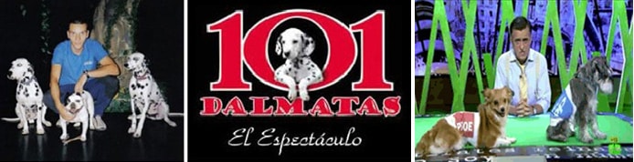 Servicios LealCan Adiestramiento canino Madrid