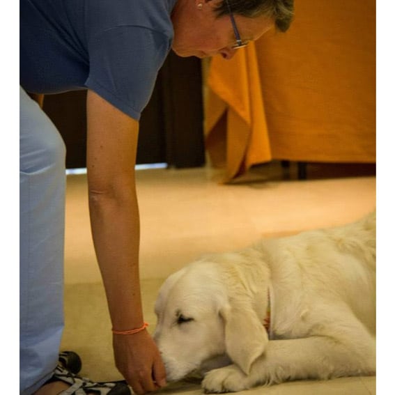 Educador canino agachado dando de comer con la mano derecha a su perro que se encuentra tumbado delante suyo