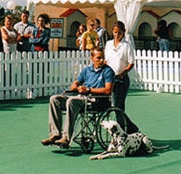 Dálmata tumbado con la señal de quieto en una exhibición de perros de asistencia con Enrique Solís de LealCan en la silla de ruedas