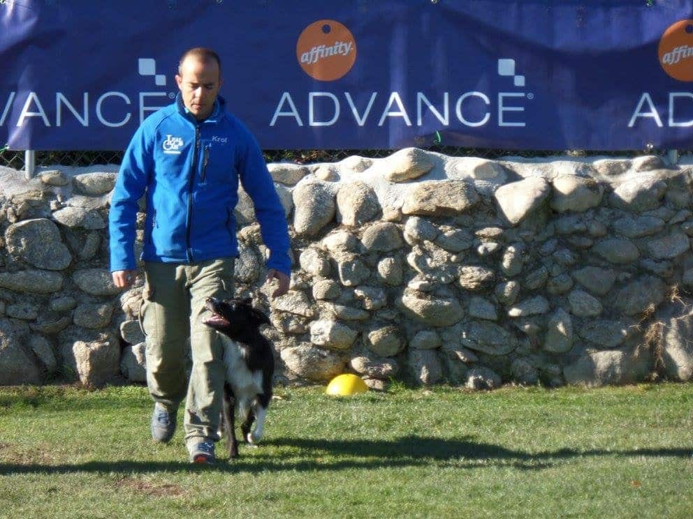 Eliseo Rodríguez camina junto a su perro border collie