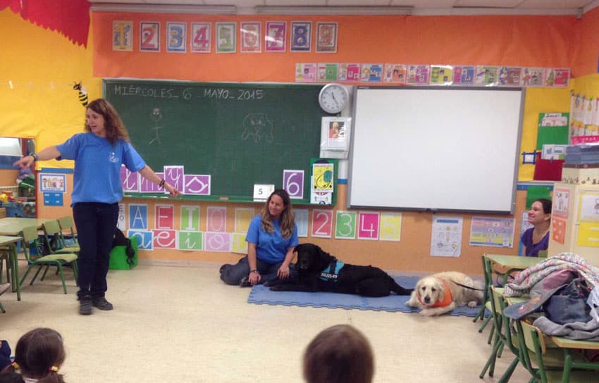 voluntarias de la asociación lealcan en un colegio impartiendo una charla con dos perros de IAA tumbados con sus guías
