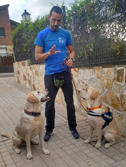 Enrique Solis con dos perros sentados en sus laterales en entrenamiento y mirándole fijamente