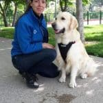 Educadora canina de LealCan Adiestramiento sentada al lado de un golden retriever en un parque