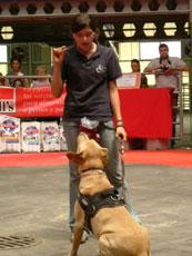 Educadora canina, de pie y su perro sentado de frente, en una exhibición canina