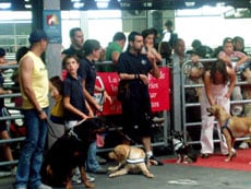 Varias personas con sus perros en una exhibición canina.