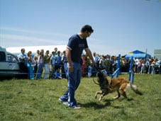 Un hombre y su perro en una exhibición canina al aire libre, de fondo el público asistente al evento.