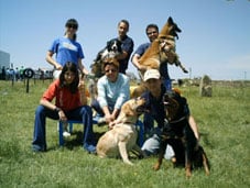 Grupo de participantes con sus perros en una exhibición canina al are libre, se ve césped y un día de mucho sol