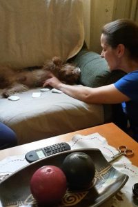 Educadora canina sentada mirando y haciendo cosquillas con su mano izquierda en el cuerpo de su perro Bruno que está tumbado en un sillón