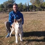 Educador canino de LealCan Adiestramiento sentado detras de un perro