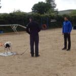 Examen práctico del curso de educación canina avanzado de Lealcan 2018