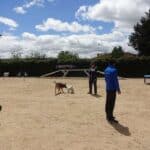 Enrique Solís esta trabajando dentro de la pista del centro canino LealCan con perros con comportamientos reactivos y alumnos mirando