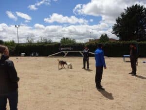 Enrique Solís esta trabajando dentro de la pista del centro canino LealCan con perros con comportamientos reactivos y alumnos mirando