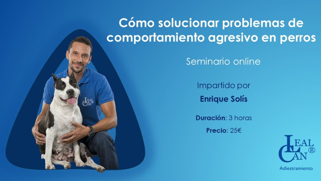 Cómo solucionar problemas de comportamiento agresivo en perros. Seminario online impartido por Enrique Solís. Duración: 3 horas. Precio: 25€.