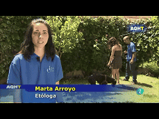 Marta Arroyo etóloga