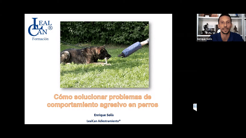 Diapositiva: Cómo solucionar problemas de comportamiento agresivo en perros