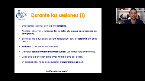 Diapositiva: Durante las sesiones (I)