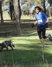 Un miembro del Club de Canicross LealCan, con la camiseta de LealCan, corriendo jutno a su perro por el bosque