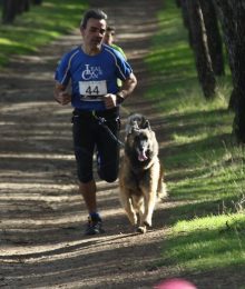 Un miembro del Club de Canicross LealCan, con la camiseta de Lealcan, corre junto a su perro por el bosque