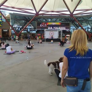 Educadora canina impartiendo la master class sobre Yoga con Perros, y el resto de personas sentadas en el suelo junto a sus perros atendiendo