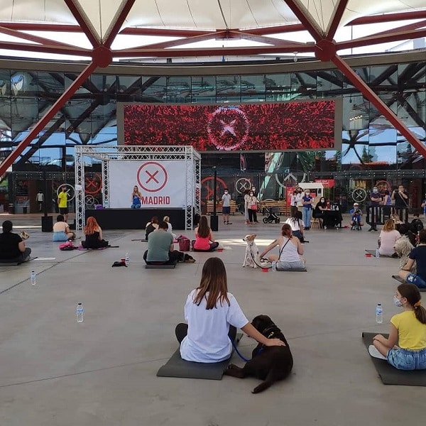 Educadora canina impartiendo la master class sobre Yoga con Perros, y el resto de personas sentadas en el suelo junto a sus perros atendiendo