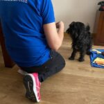 Educadora canina apoyando la pierna derecha en el suelo y delante suya se encuentra su perro Niko, ambos se miran mutuamente