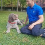 Perro Gastón mirando de perfil al educador canino