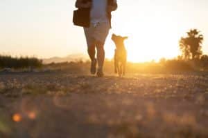 Testimonio anónimo de un paseo con un perro reactivo