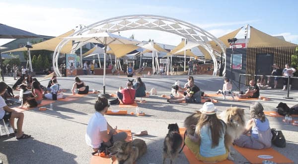 Clase de yoga con perros impartida por Lealcan en el Centro Comercial Planetocio de Villalva