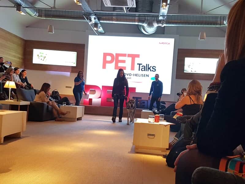 evento-pet-talks