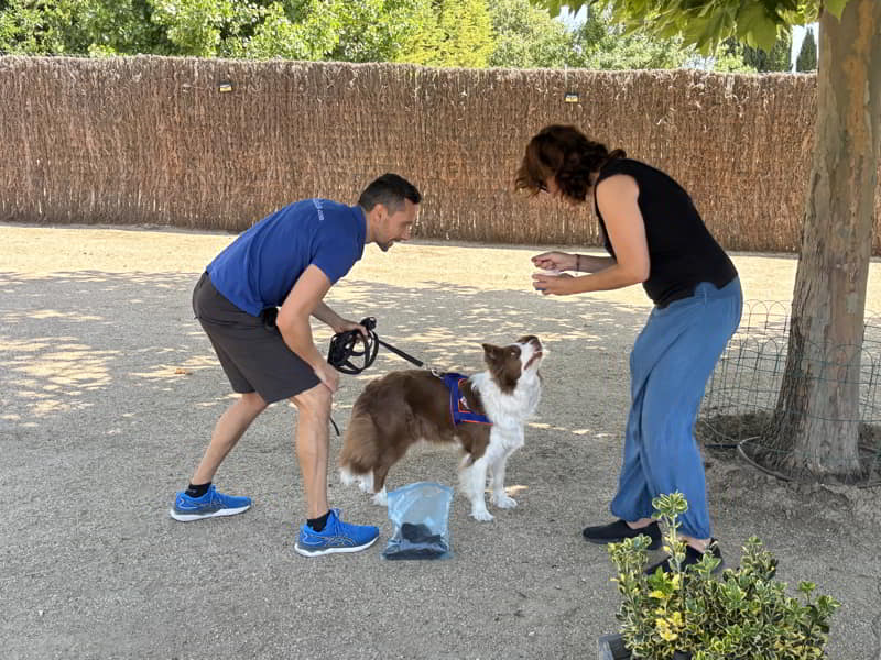 enrique-solis-ejercicios-con-perro-mantrailing