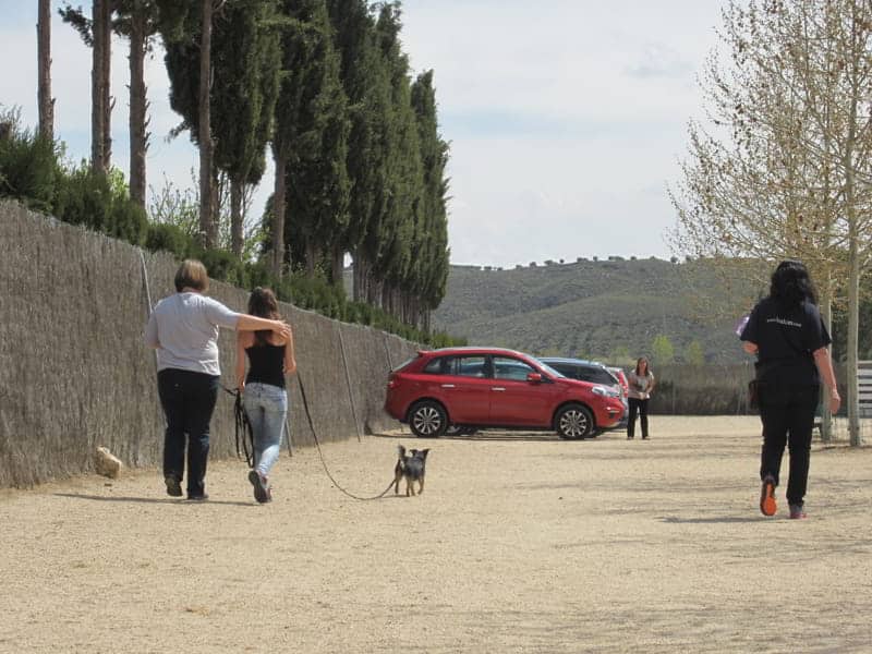 entrenamiento-manltrailing