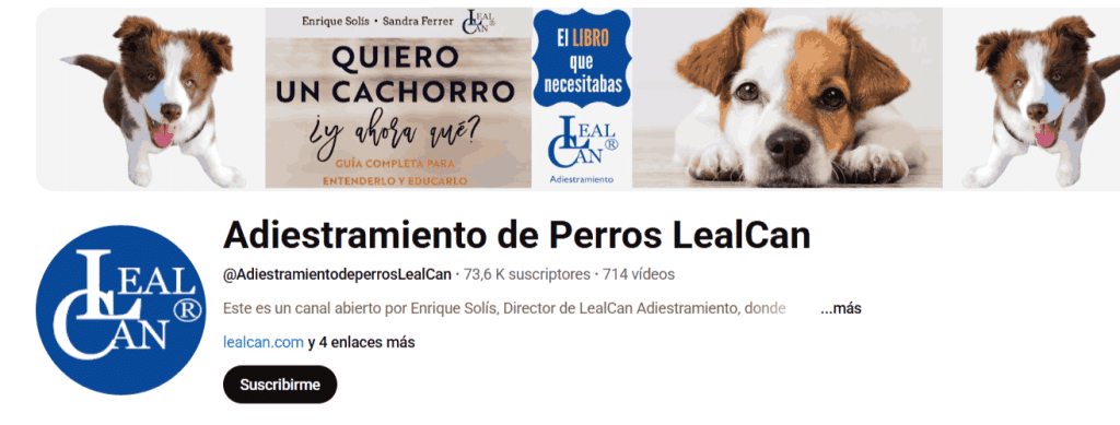 canal-youtube-lealcan