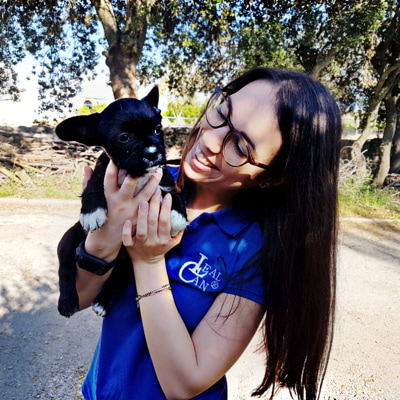 educadora-canina-sandra