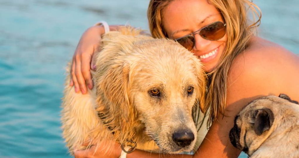 manejar-conducta-perro-celoso