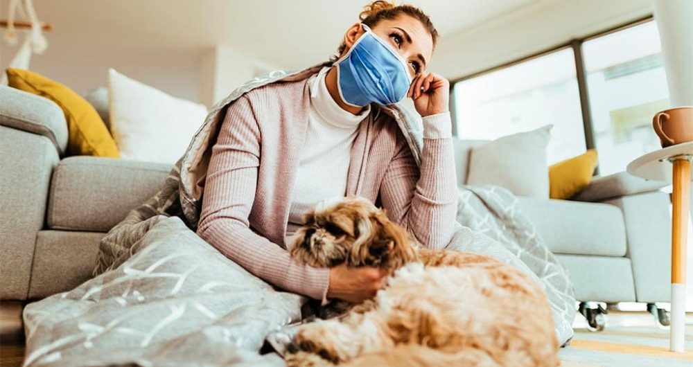 Síntomas de alergia en los perros